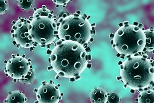 Corona virus updates